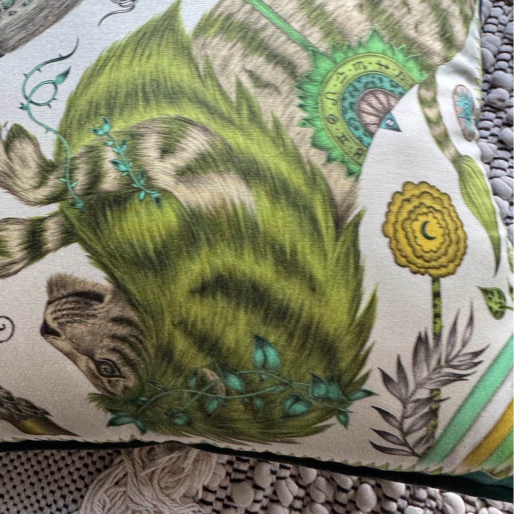 Emma J Shipley designer velvet throw pillow - Picture 2 of 8